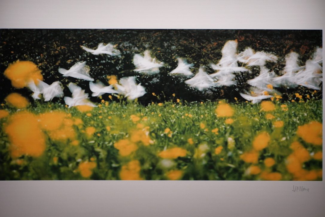 寻澜影集