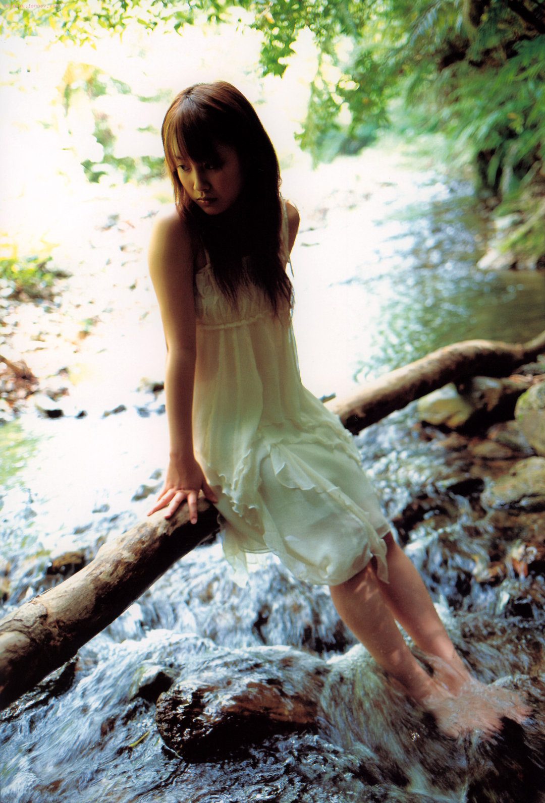 棉花糖 5
