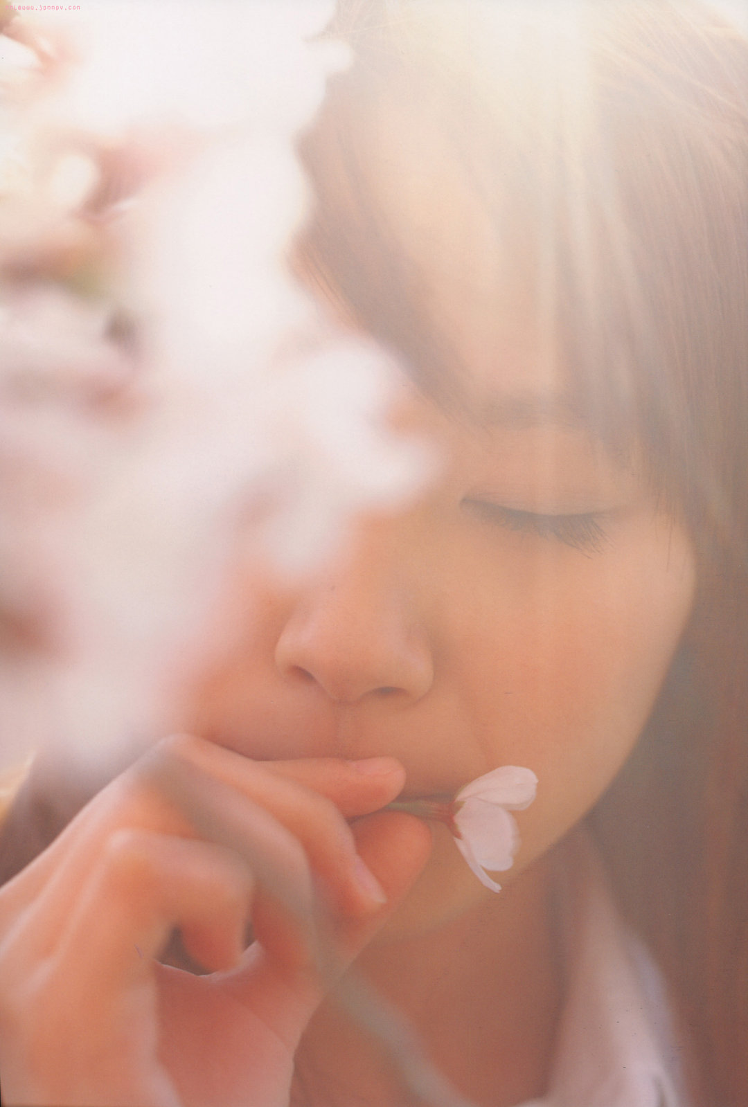 棉花糖