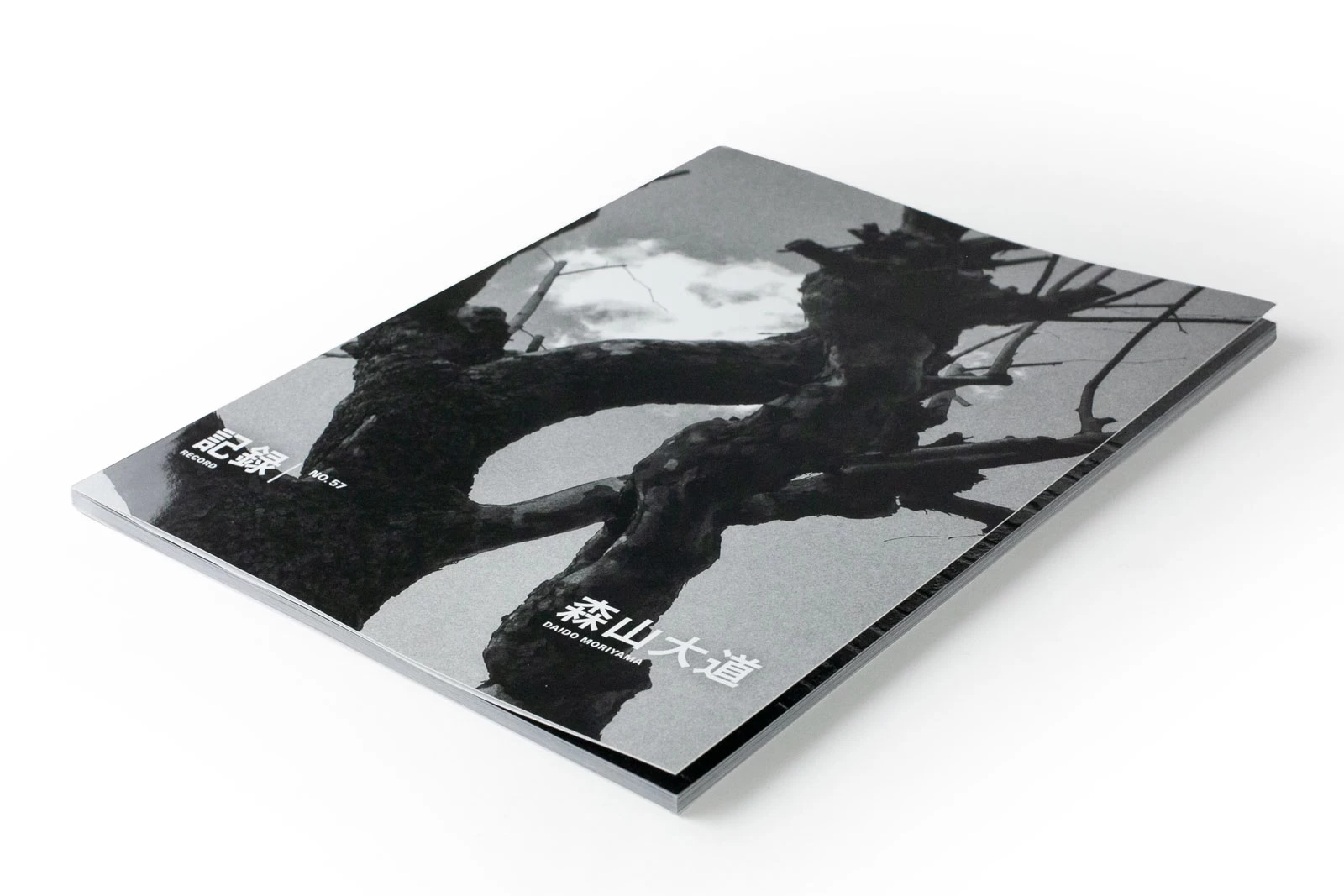 Record No.57 · 镰仓 2