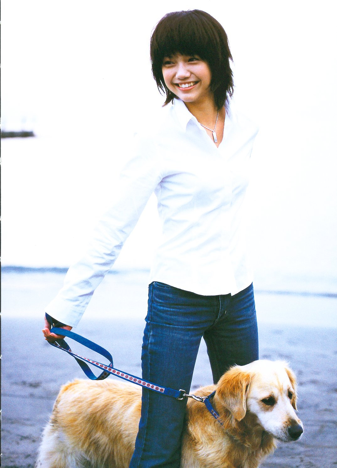 宫崎葵 · happy tail 3