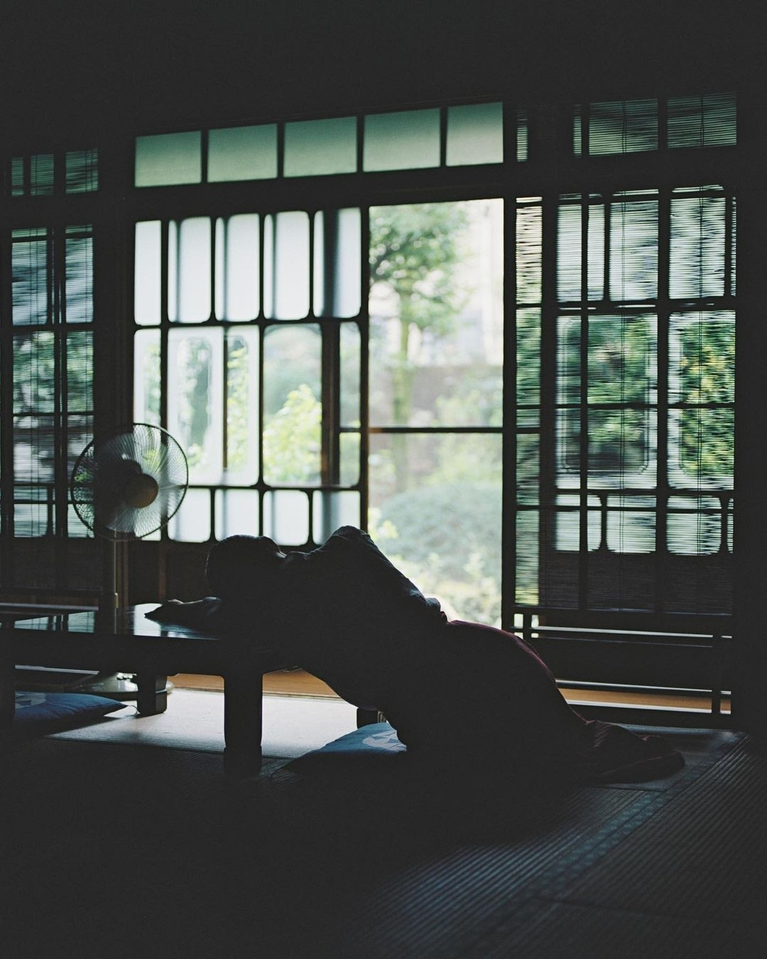 大林直行 和室躺椅上的人