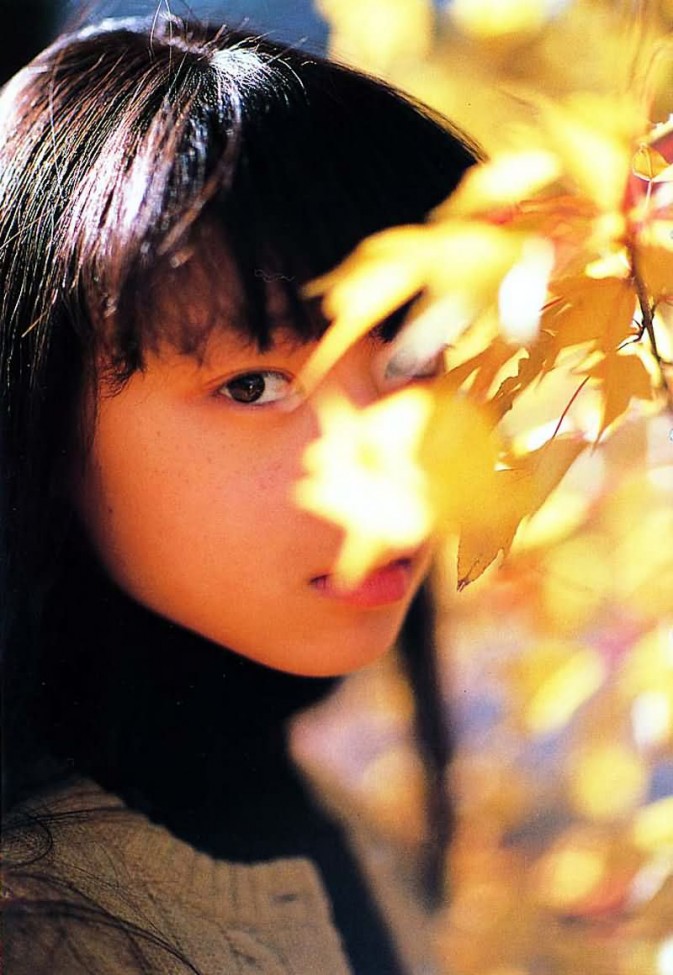 落叶遮脸